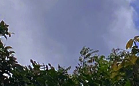 �簲�����Z86�l