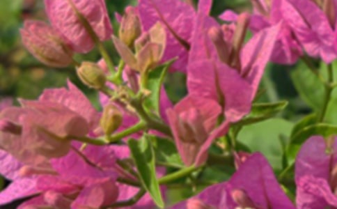 2024�ꃞ(y��u)�����簲QQ�����Z�R��92��