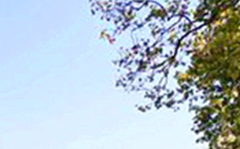 ����ϵ�簲���Z(y��)����36�l