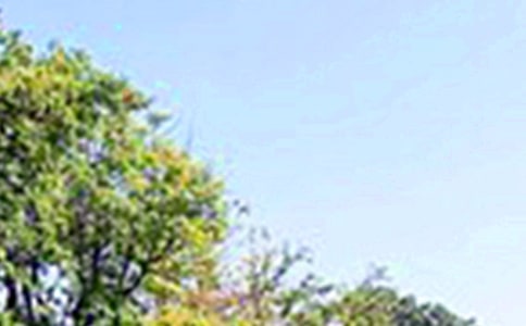 2024�ꃞ(y��u)�����簲�����Z74�l