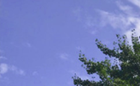 2025�ꃞ(y��u)�����簲�����Z�����\��77�l