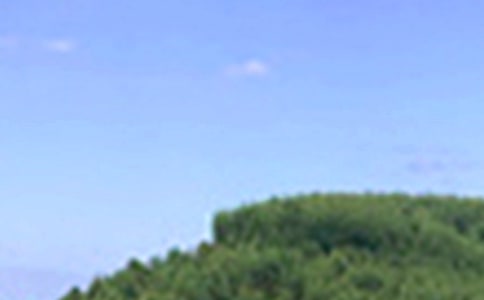 Ψ�����簲��(w��n)���Z(y��)ժ�38��