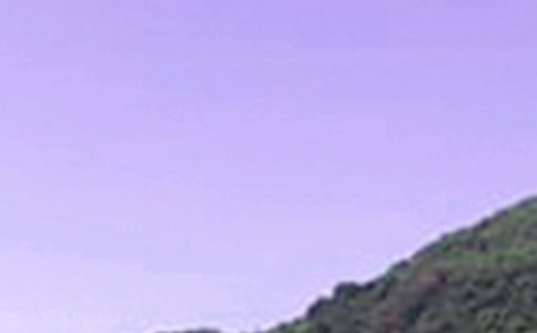 2024���ܰ���簲�����Z���Ŵ�ϼ�80��