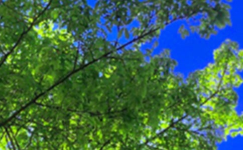 ��(y��u)�����簲���Z����44�l