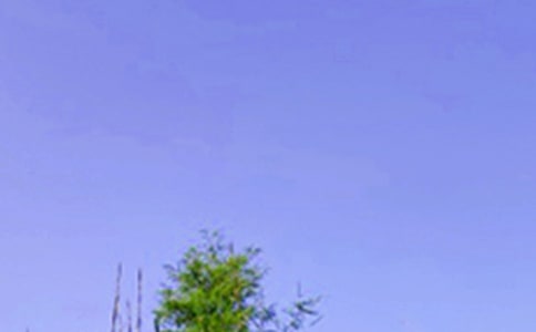 唯美的午安問候語短信合集35句