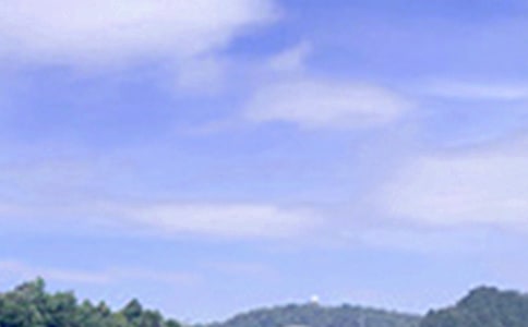 2025年治愈系午安心語短信錦集52句