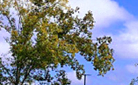 �P�������簲�f�f�����x40�䣩