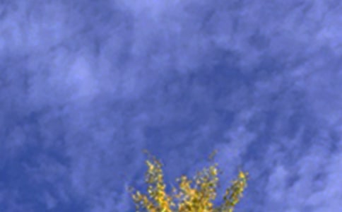 Ψ�����簲�����Z���Ŵ�R��73��