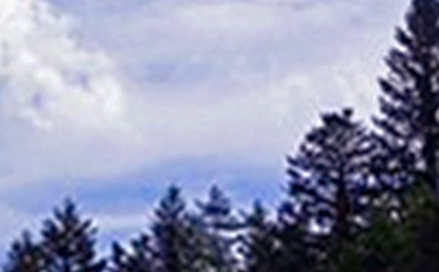 �P(gu��n)���������簲����100��