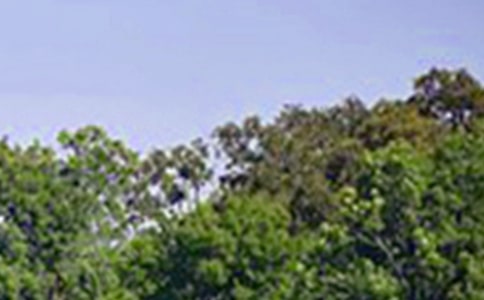 Ψ�����簲�����Z���źϼ�43�l