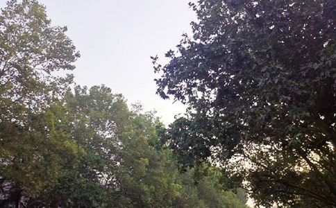 ��ů���簲��(w��n)���Z(y��)���ż��\75�l