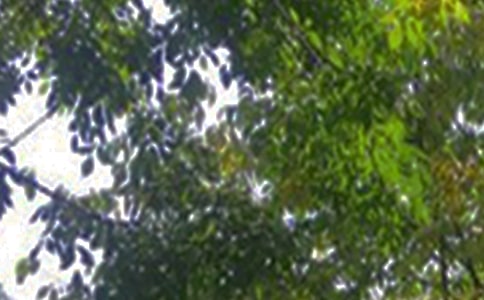 Ψ���簲���Ŵ�ȫ80�侫�x