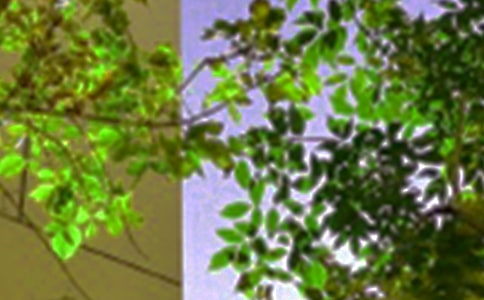 ��(g��)���簲�f(shu��)�f(shu��)��ͨ��40�䣩