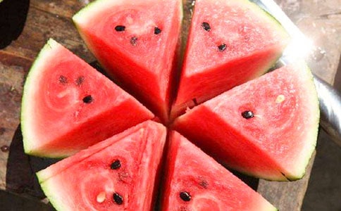 中班科學(xué)活動(dòng)教案:西瓜蟲