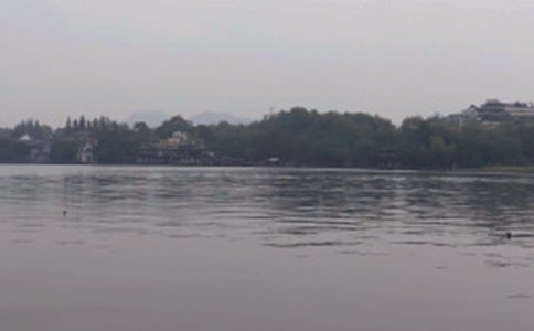 �茑������Ԋ��