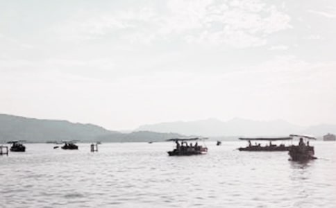 ��������(d��o)���~