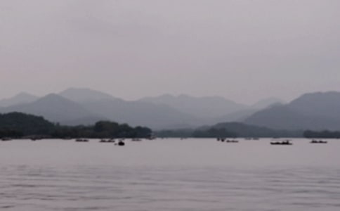 �������g���£���ţ��