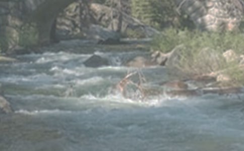 ��СϪ���ĸ衷�x��У����x11ƪ��