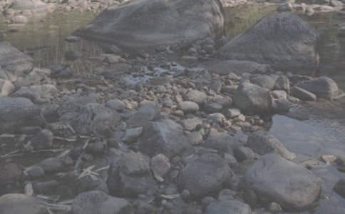 小溪流的歌讀后感