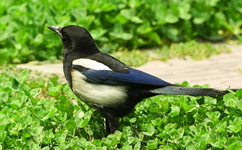 ���꼉�������ϵ�ϲ�o����