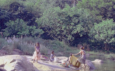 洗衣服作文(精選10篇)