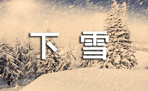 【必備】下雪了作文