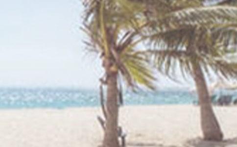 �P(gu��n)���ļ�ף���P(gu��n)�Ѷ���