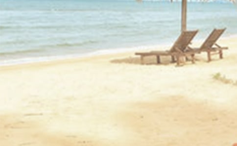 �ļ���ʿ�l�y�����