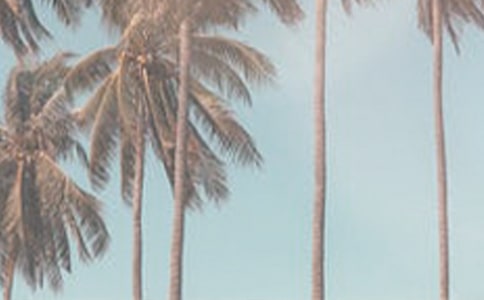 �����]���ļ���ĩ��(w��n)�����