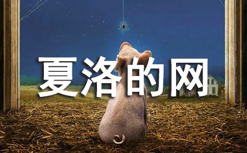 ������ľW(w��ng)���x���(���A)