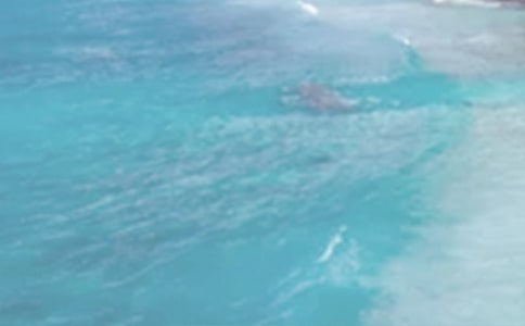 [�]]����������ĩ����ף���Z3ƪ