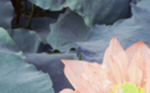 2022�����l(f��)����Ȧ���ӣ����x110�䣩