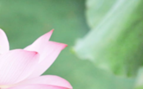 �����Ĺ�(ji��)���V�Z