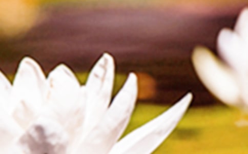 夏至微信祝福語