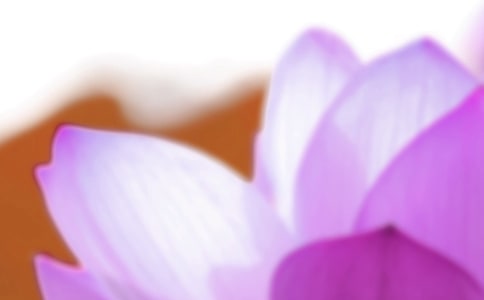 夏至節(jié)氣賀詞大全