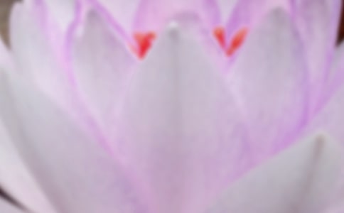 夏至經(jīng)典詩(shī)句(實(shí)用20篇)