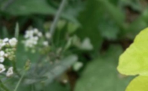 ����������Ԋ(sh��)��