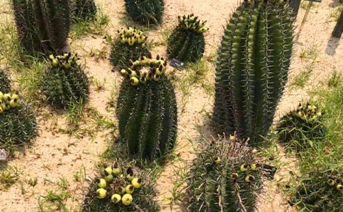 �������^����ӛ(����15ƪ)