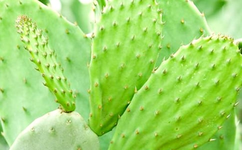 �P(gu��n)���������^����ӛ�ϼ�9ƪ