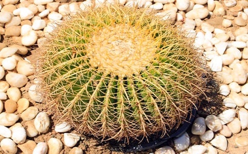 [��(y��u)��]����������