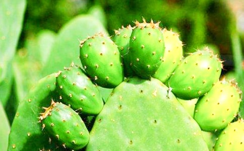 ���������ģ���(y��u)�x15ƪ��