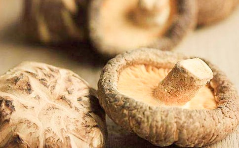 �㹽���������������Щ