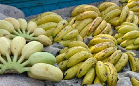 挑選香蕉的方法