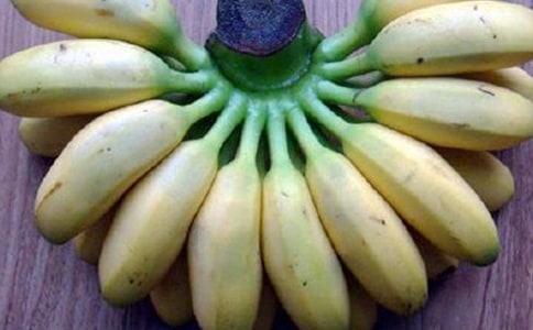 ��(j��ng)�����㽶��Ĥ�ò��ð�