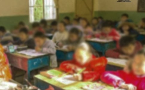 �l(xi��ng)��С�W(xu��)У�L(zh��ng)������(b��o)�淶��