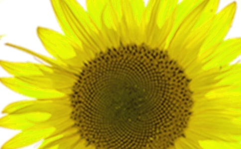 �����տ�һ������