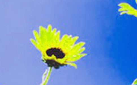 ��ϲ�g���տ����ġ���(y��u)�x14ƪ��