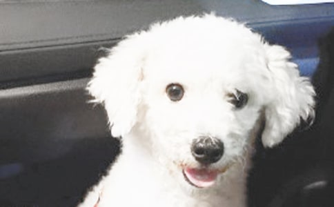 �����]����ϲ�g��С������300����ƪ