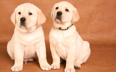 �oС����һ����(�R��13ƪ)