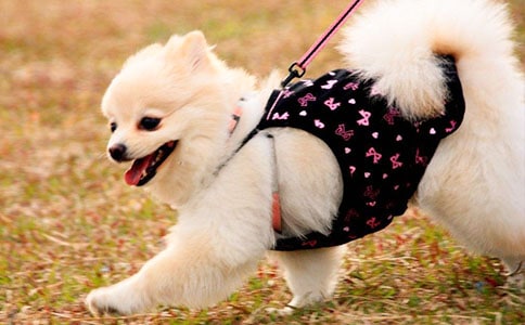 ��С����ˣ����200��